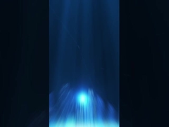 Embalaje de almacén (1)